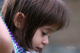 s800IMG_5959.jpg