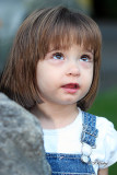 s800IMG_5964.jpg