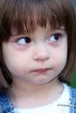 s800IMG_5966.jpg