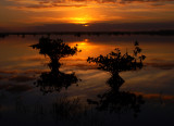 Daybreak at the Refuge