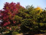 Johns Creek park 5a