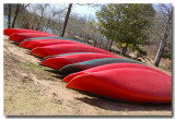 Lets go rowing