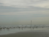 het strand bij Hoek van Holland