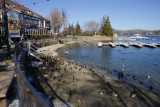 _DSC3900.jpg