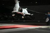 Lipi_Show_Jump_175.jpg