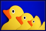 Three Little Ducks