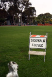 Sidewalk closed