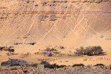 West Bank Desert