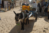 Souq