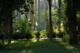 Botanical Gardens