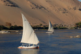 Felucca