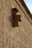 Lion Head