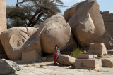 A fallen colossal statue