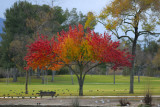 Autumn