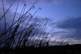 After storm