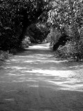 A Newer Old Road