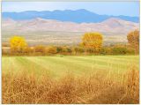 Bosque del Apache farm loop landscape