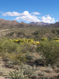 Aravaipa Canyon