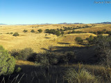 Patagonia, Arizona - American Savanna