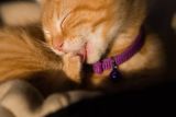 IMG_8943.jpg