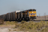 Train in the Desert