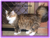 Sonshanley Claudia.jpg