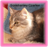 Sonshanley Czarlee.jpg