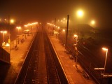 foggy-043.jpg