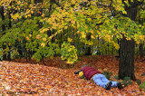 Denis lying on his red carpet