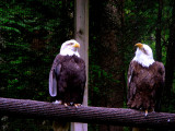DSCN1693.JPG