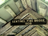 Sentinel Pine Bridge No.38, NH
