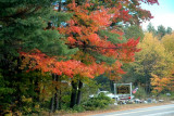 DSC_6168.JPG