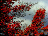DSCN2635.JPG