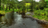 By the Creek