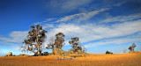 Cooma Plains