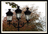 Three Lamps