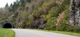 May 12 - Blue Ridge Parkway to Hwy 215
