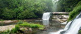 French Broad Falls 1