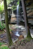 Moore Cove Falls 2