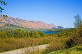 Trout River River Pond