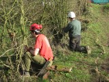 Meanwhile the scrub bashers were removing barbed wire