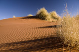 Namib Rand