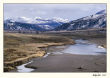 Yellowstone 07-APR12-0112.jpg