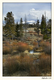 Yellowstone 07-APR12-0123.jpg