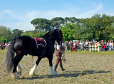 Equestrian show..