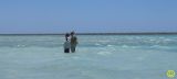 Christmas island bonefish flats