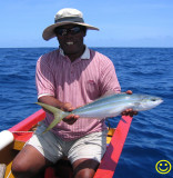 Rainbow runner