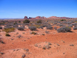 moabspring07__006_86.jpg