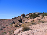 moabspring07__009_86.jpg