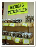 Medicinal Herbs.jpg